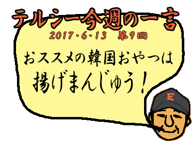 0613テルシー